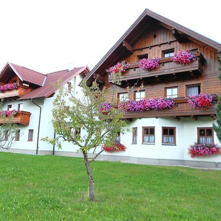 Pension Thorerhof Хаус-им-Энншталь Экстерьер фото