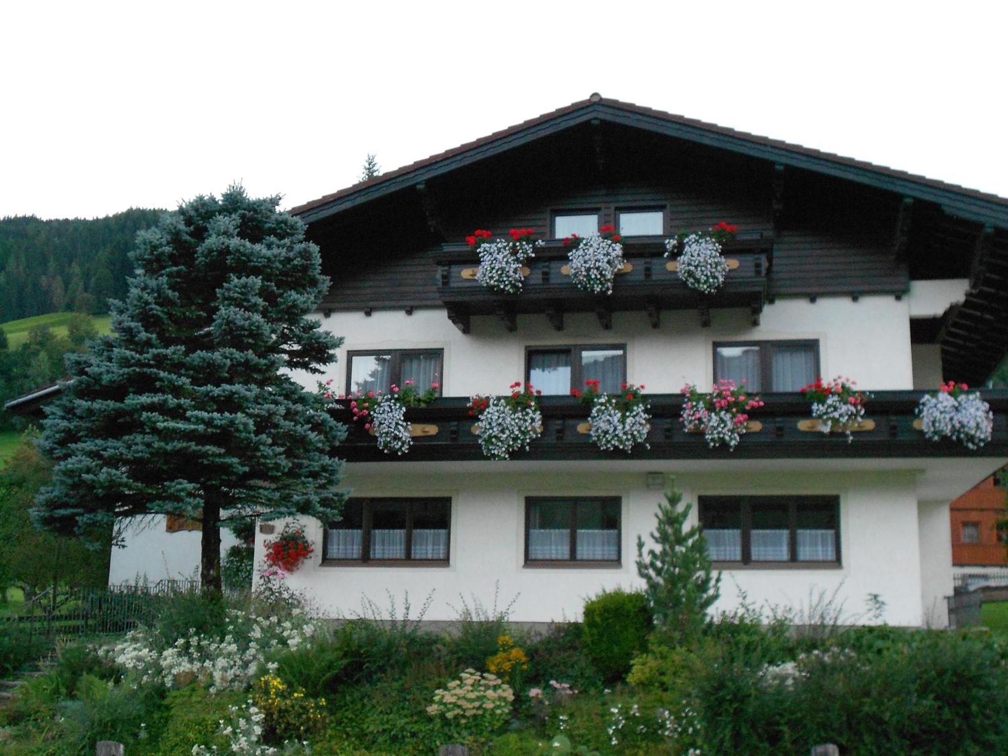 Pension Thorerhof Хаус-им-Энншталь Экстерьер фото