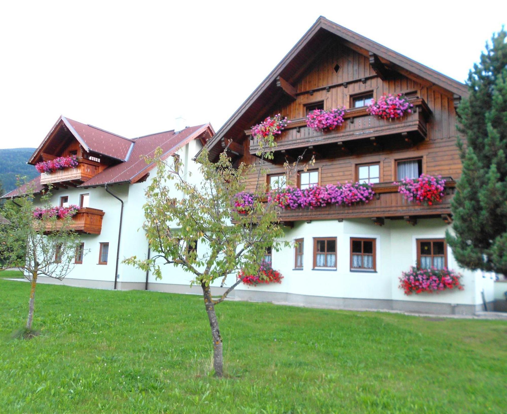 Pension Thorerhof Хаус-им-Энншталь Экстерьер фото